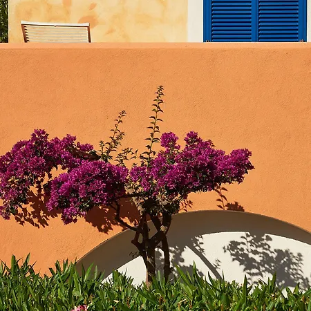 Villaggio L'oasi Hotel 4*
