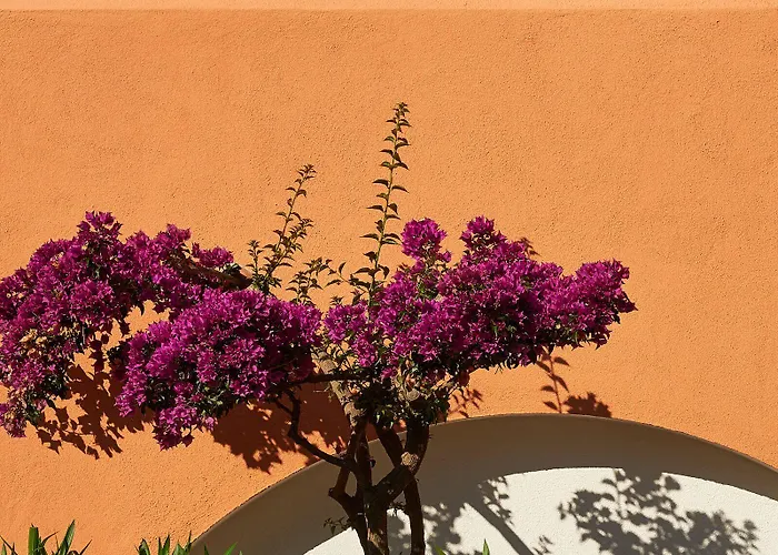 Villaggio L'oasi מלון 4*